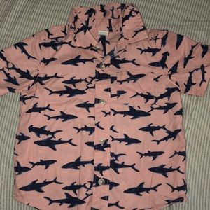 Boys shark button down shirt